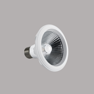 PAR30 Ledlamp
