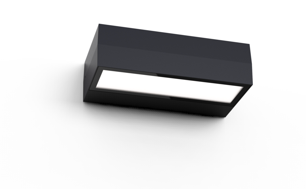 Esbjerg - wandlamp Zwart - IP65 - LED built in - 10W