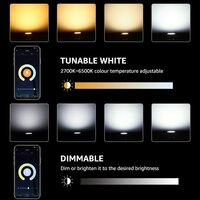 Lampux Dual White wifi lamp, GU10, 4.5W