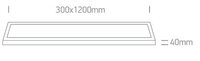 SLIM line LED paneel - 120cm - 40W - 4000K daglicht - niet dimbaar - Wit