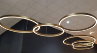 RING OF LIGHT | Maatwerk ringlampen | 400 tot 2400 mm | diverse kleuren