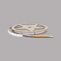 COB LED-strip RGB + WW | 24V | IP65 | 10 Meter | 660 LEDs/m | Dimbaar
