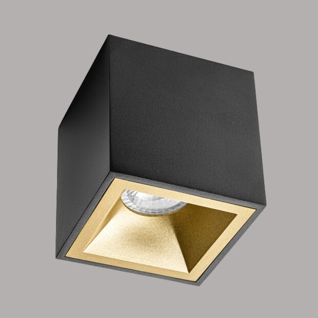 Opbouwspot LISA - vast - zwart - incl. reflector Goud en GU10 fitting