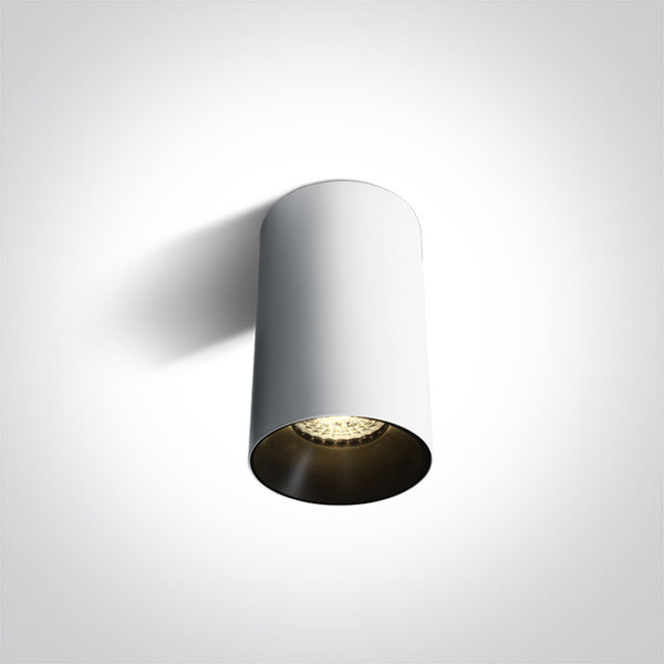Opbouw cilindrische plafondspot-reflector, zwart- Cilinder Wit