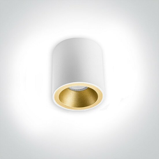 Opbouwspot SILVA - vast - rond - wit - incl. reflector-Goud en GU10 fitting