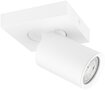 Opbouwarmatuur ES 1-lichts kantelbaar &Oslash;55 wit RAL9003 - incl. GU10 Fitting